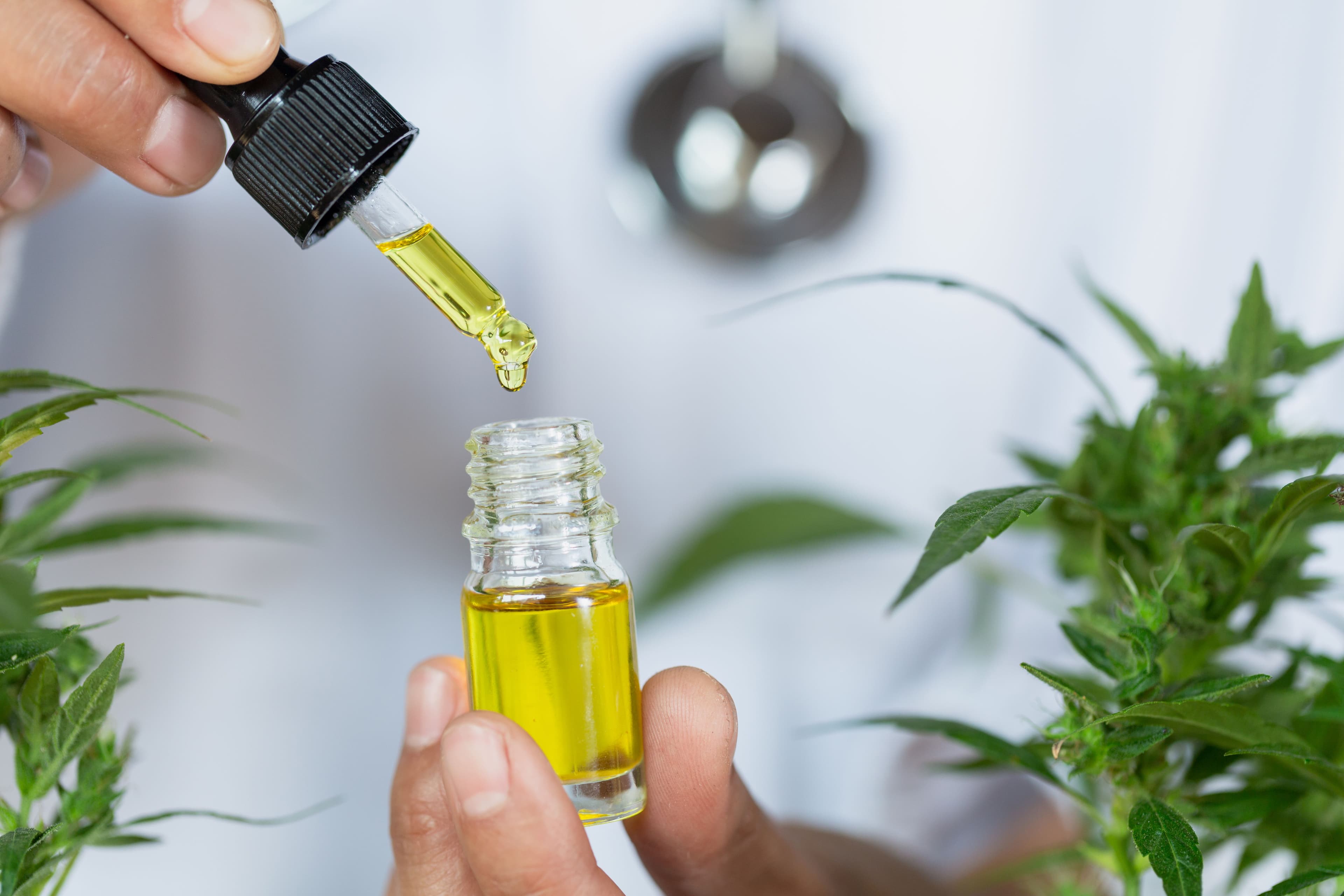 Canabidiol entra na lista de medicamentos do SUS em dois municípios