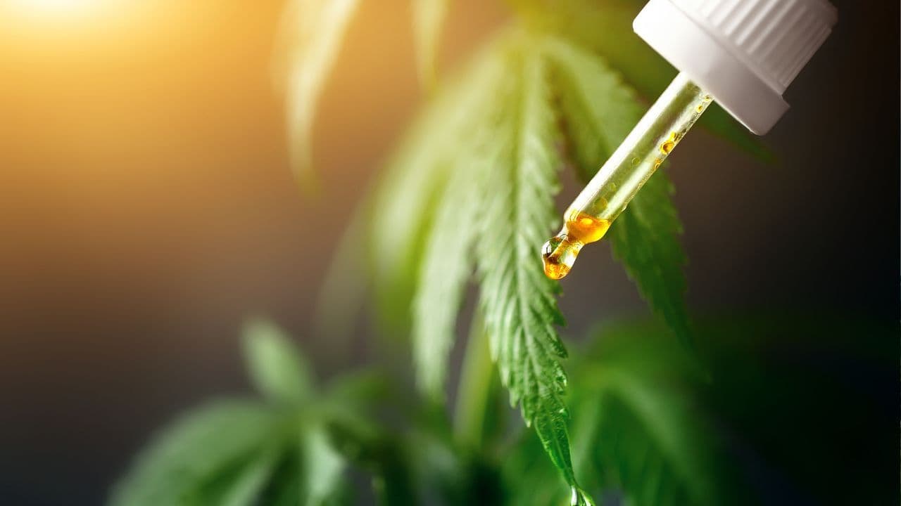 Prefeitura de São Joaquim de Bicas (MG) abre licitação para aquisição de medicamento à base de cannabis