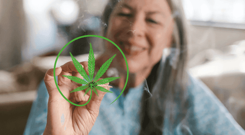 29% dos brasileiros são a favor da cannabis para adultos, diz pesquisa