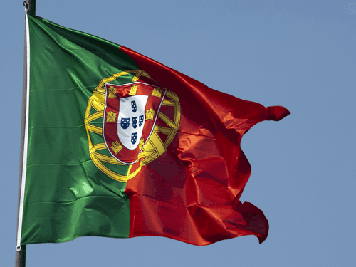 42 empresas de cannabis medicinal já operam em Portugal