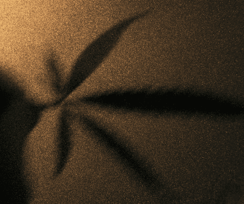 A conexão entre a cannabis medicinal e as emoções humanas