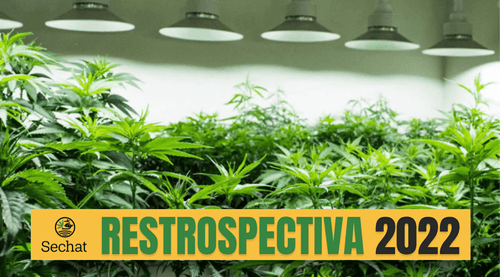 Abrace consegue autorização da Anvisa para testar seus próprios produtos