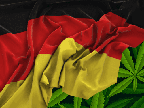 Após cannabis sair da lista de narcóticos, 2º trimestre apresenta aumento de 44% em importações na Alemanha