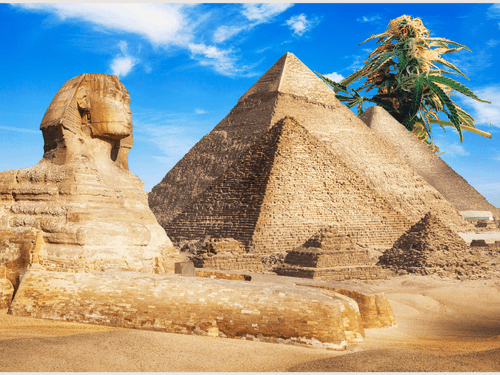 Antigo Egito utilizava cannabis para fins medicinais há milênios
