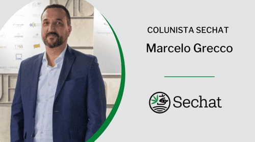 Aos poucos, a cannabis elege representantes para amplificar no Congresso seus atributos e potencial de mercado