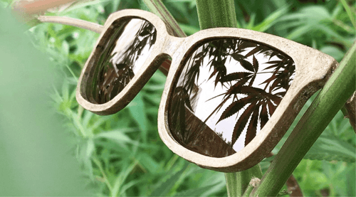 Learn how Argentine hemp glasses are made