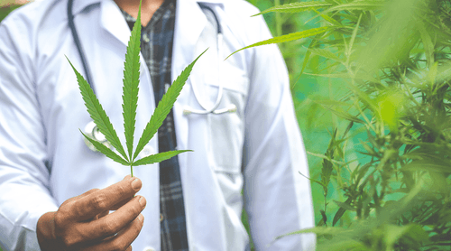 Associação Brasileira de Psiquiatria apoia a resolução do CFM sobre a prescrição de compostos da cannabis