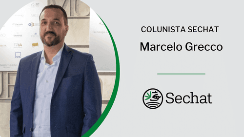 Autocultivo de cannabis não vai resolver o problema da coletividade