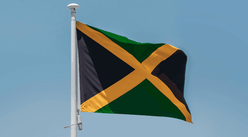 Autoridades jamaicanas procuram apoiar pequenos produtores de cannabis para a economia