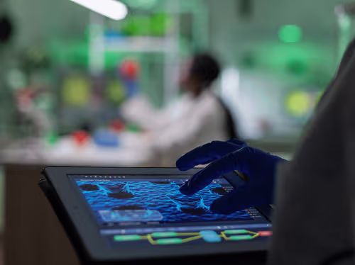 Brazil prepares to have the first genetic bank of cannabis