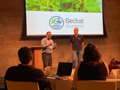 (CBC), (CBG), (CBN), (CBDL), (THC), (CBD): cannabis não é "sopa de letrinhas"