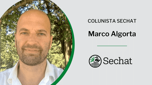 CBD não é só remédio?