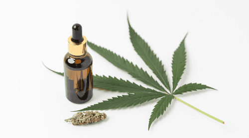 CFM abre consulta pública sobre o uso compassivo do canabidiol