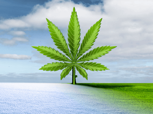 COP-28: Cannabis Production and Climate Impact