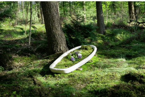 Caixão biodegradável feito de cogumelos é alternativa sustentável