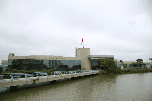 Câmara de Sorocaba debate sobre a cannabis para fins medicinais na cidade