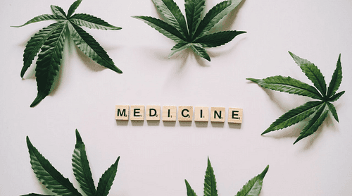 Canabinóide pouco conhecido pode ser a solução no tratamento de células cerebrais envelhecidas