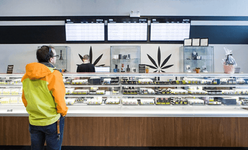 Canadá revisará impacto da legalização da cannabis