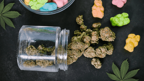 Comestíveis ganham espaço no tratamento com cannabis medicinal nos EUA