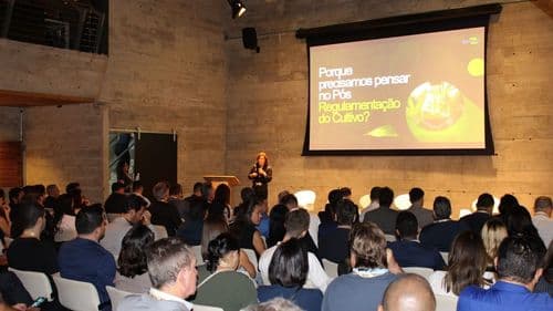 Imagem da noticia: Advances and challenges of cannabis in Brazil mark Cannabis Connection 2025