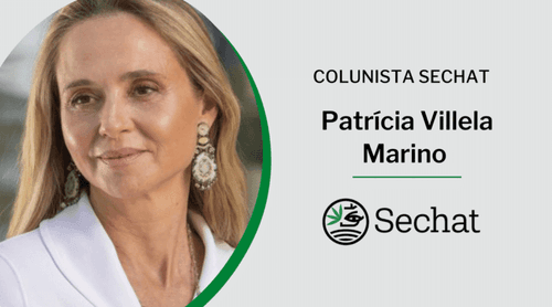 Cannabis Thinking e a importância de se pensar legados do negócio da cannabis