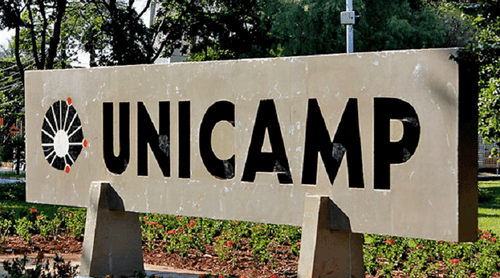 Cannabis combate doenças neurológicas com eficácia, mostra estudo da Unicamp