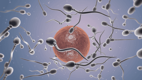 Pode usar cannabis e ser pai? Veja o que a ciência diz