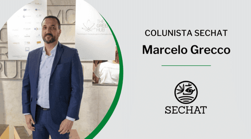 Cannabis e cânhamo em sintonia com as práticas ESG