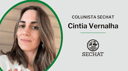 Cannabis e celebridades: uma parceria que pode dar certo