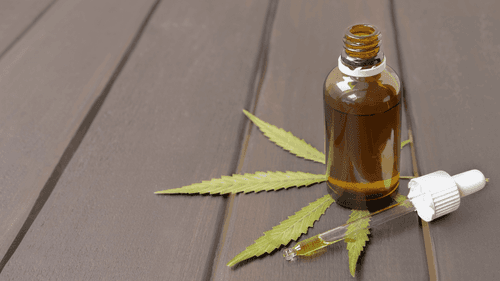 Imagem da noticia: Uso de cannabis medicinal por pacientes terminais em hospitais avança em debate nos EUA