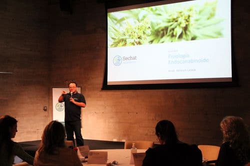 Cannabis medicinal em foco: Sechat Academy prepara curso imperdível para médicos