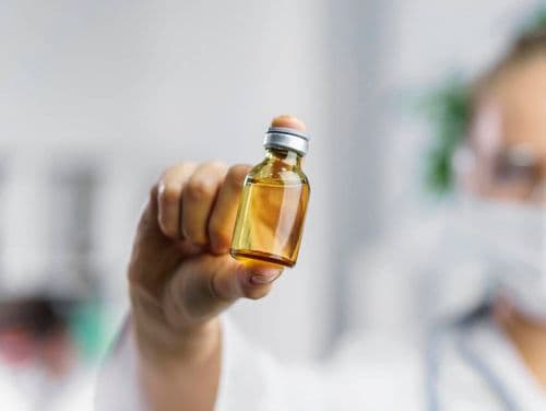 Cannabis medicinal: processos de extração e autorizações de cultivo