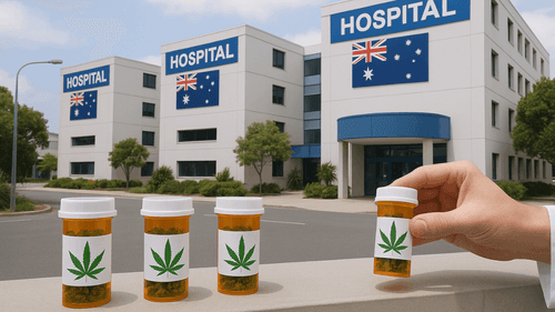 Imagem da noticia: Australia abre camino para un cuidado más humano con el cannabis terapéutico