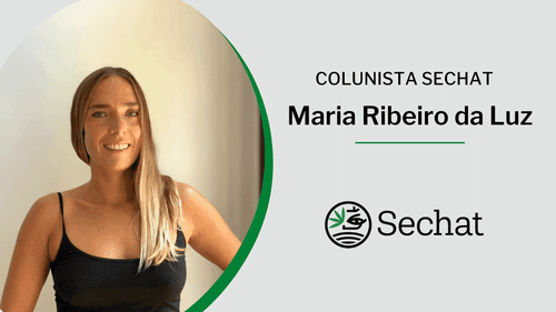 Cannabis no SUS de SP: expectativa X realidade