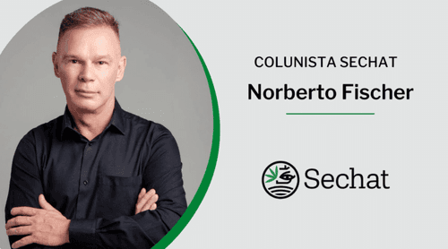 Cannabis: o que podemos esperar para 2023?