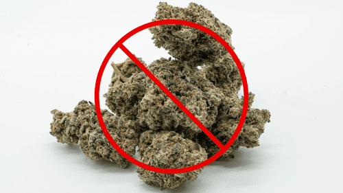 Senado do Texas deve proibir todas as formas de THC em 2025, segundo vice-governador