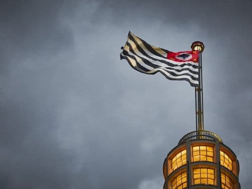 Cannabis terapêutica em São Paulo: o caminho para o acesso pelo SUS