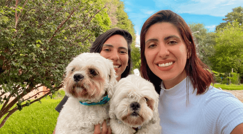 Cão ferido em ataque se recupera com canabidiol e inspira criação do clube de cannabis no Brasil