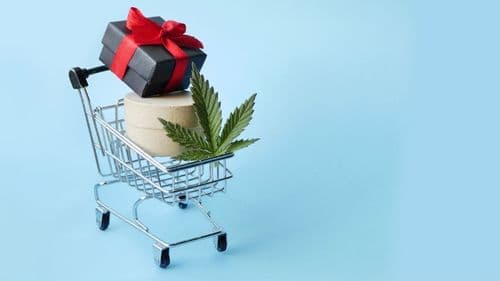 4/20: a “Black Friday” da cannabis é hoje