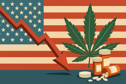 Estudo revela queda de 6% em uso de medicamentos após legalização da cannabis nos EUA