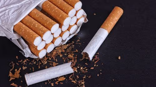 Imagem da noticia: Parar com a nicotina é a meta de jovens no Ano Novo: CBD surge como aliado contra a superdependência