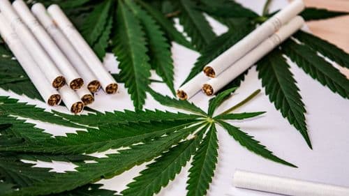 Imagem da noticia: Portugal proíbe comercialização de CBD e THC em produtos de tabaco e cigarros eletrônicos