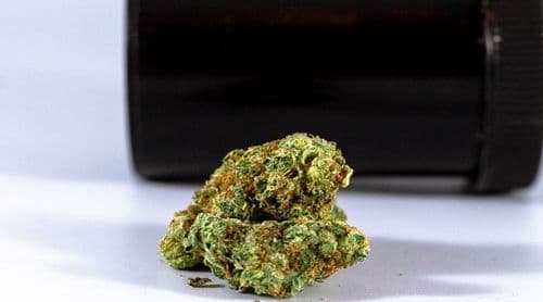 Colombia: Câmara aprova projeto de lei que regulamenta uso adulto de cannabis