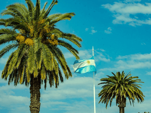 Com último decreto, Argentina tem chance de ser líder em cânhamo latino-americano