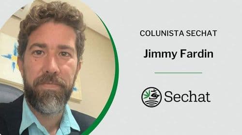 Como a cannabis atua nas lesões no esporte