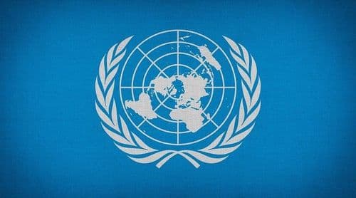 Como a indústria da cannabis pode cumprir os Objetivos de Desenvolvimento Sustentável da ONU?