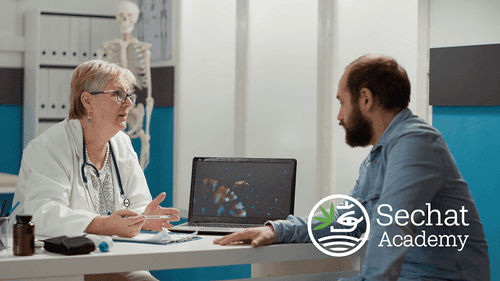 Como falar com seu médico sobre cannabis medicinal