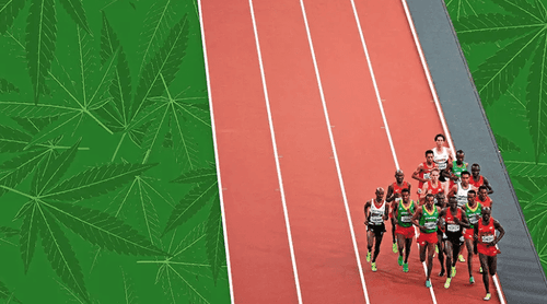 Como os fitocanabinoides da cannabis podem beneficiar o corredor