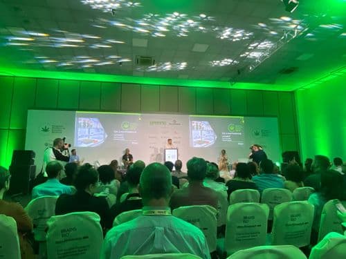 Último dia do Congresso Brasileiro da Cannabis Medicinal tem programação especial para profissionais da saúde