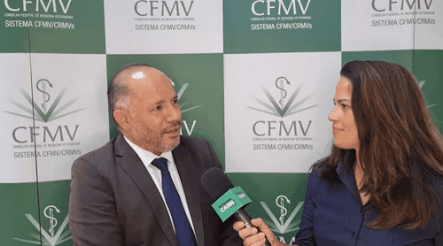 Conselho Federal de Medicina Veterinária quer que a Anvisa regulamente a prescrição da cannabis medicinal para uso animal